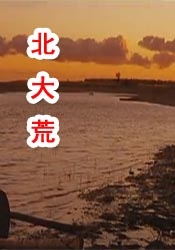 久草青青